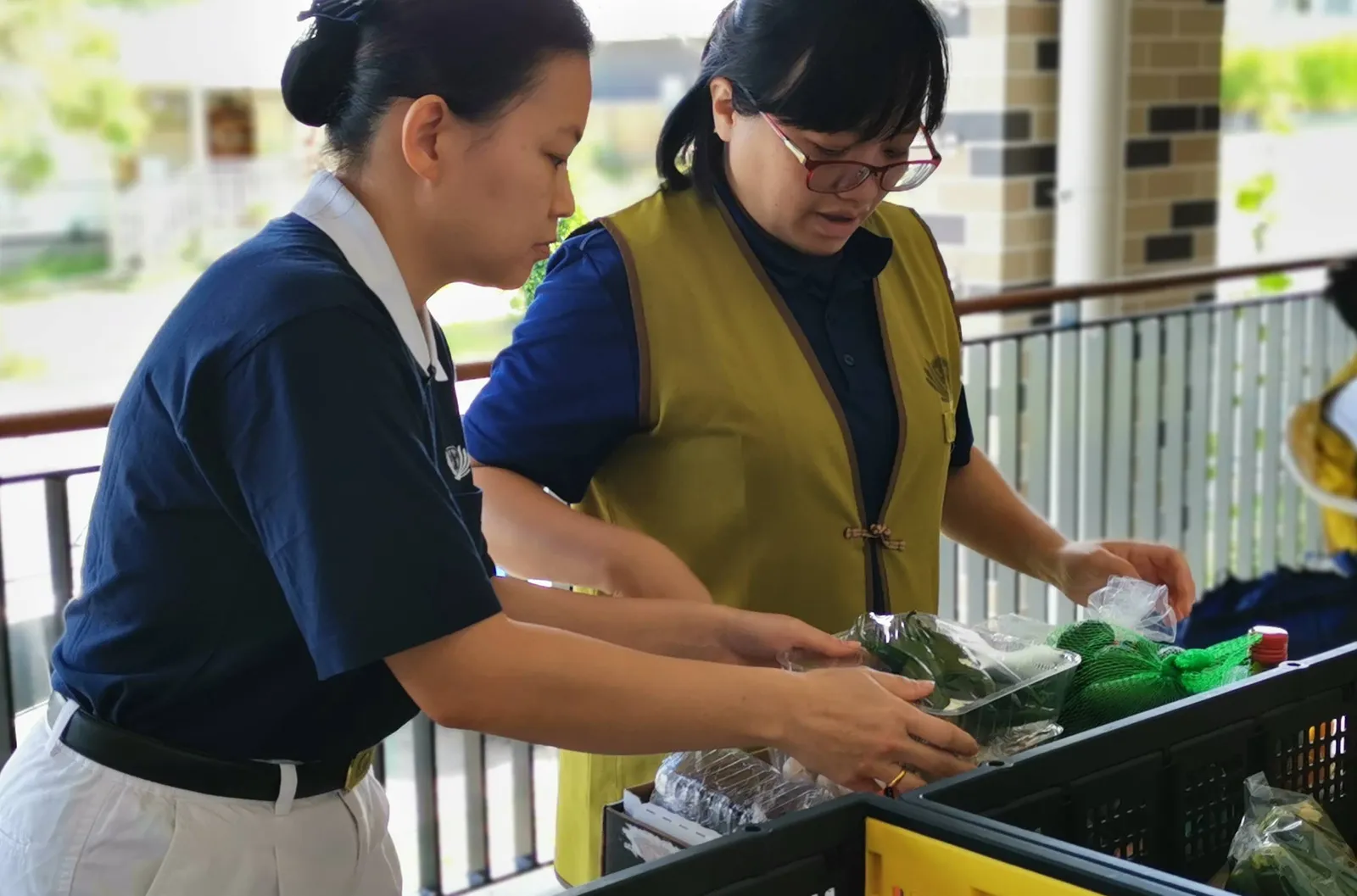 Charity Support Programs - Distributing Fresh Food