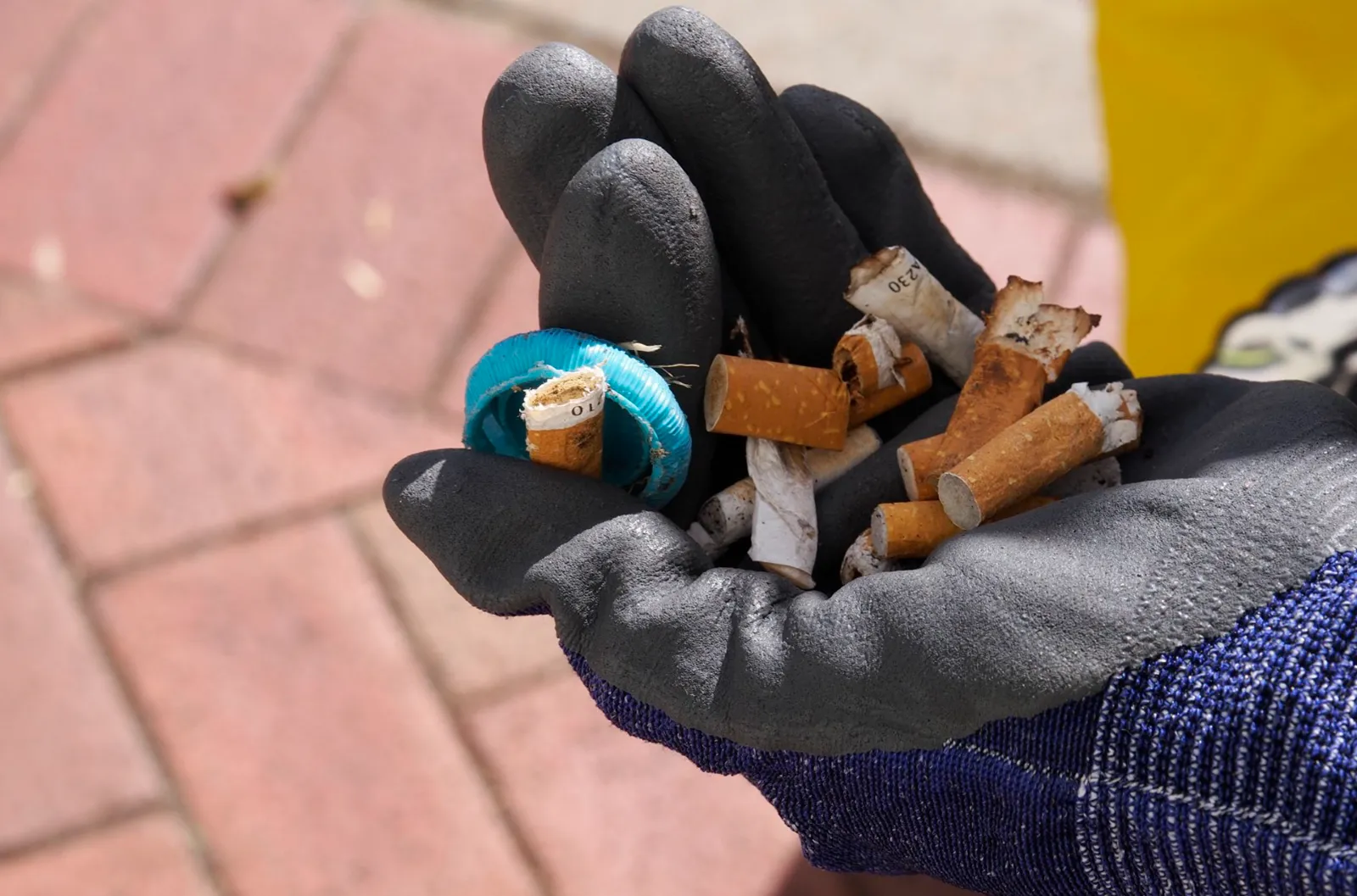Perth - Clean Up Australia Day - syringes, cigarette butts, masks, drink cans, and other litter discarded by passers-by Clean Up Australia Day - syringes, cigarette butts, masks, drink cans, and other litter discarded by passers-by