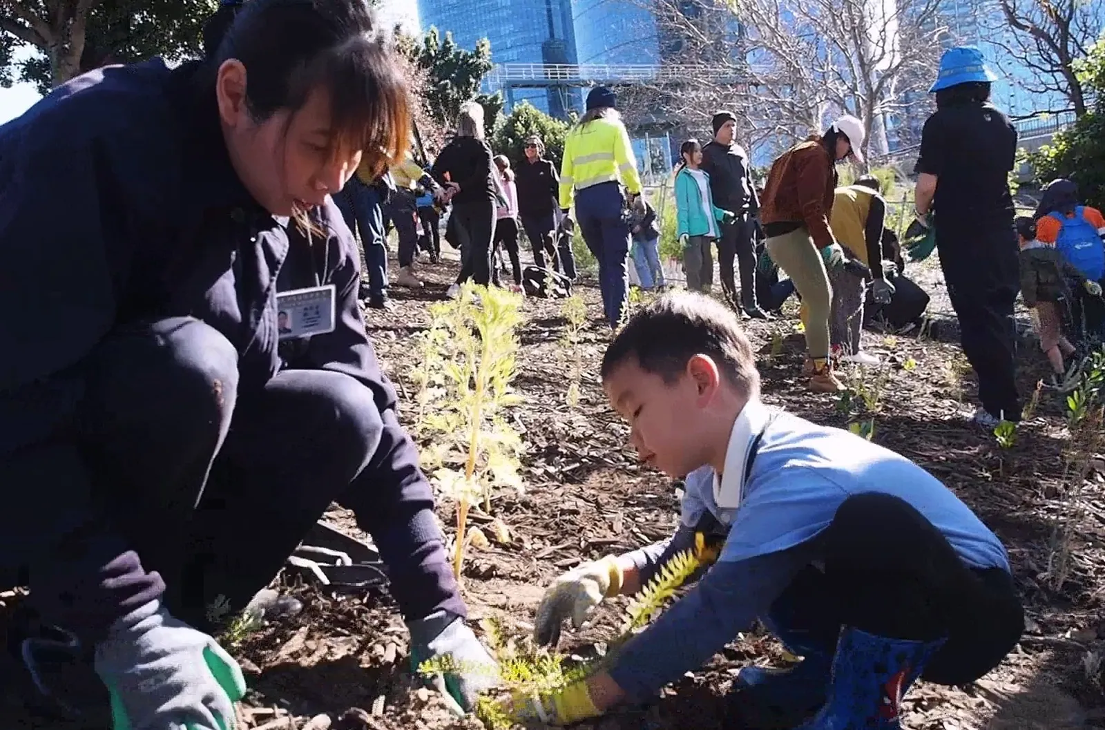 Perth - Environmental Protection - Young volunteer Huang Zi-hao explained and demonstrated to his mother how to plant a tree Environmental Protection - Young volunteer Huang Zi-hao explained and demonstrated to his mother how to plant a tree