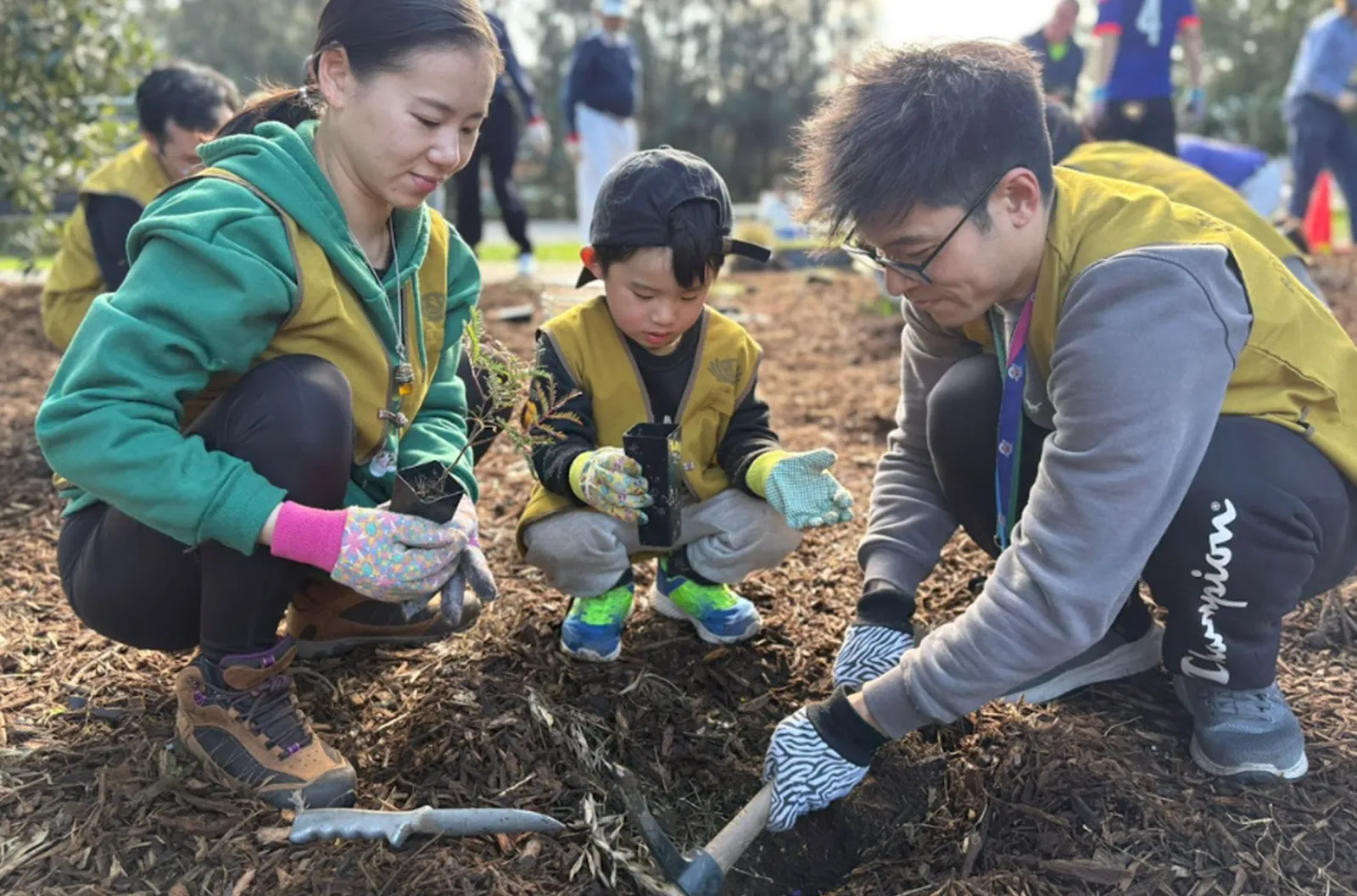 Tree Planting - Planting Seeds of Hope for the Earth