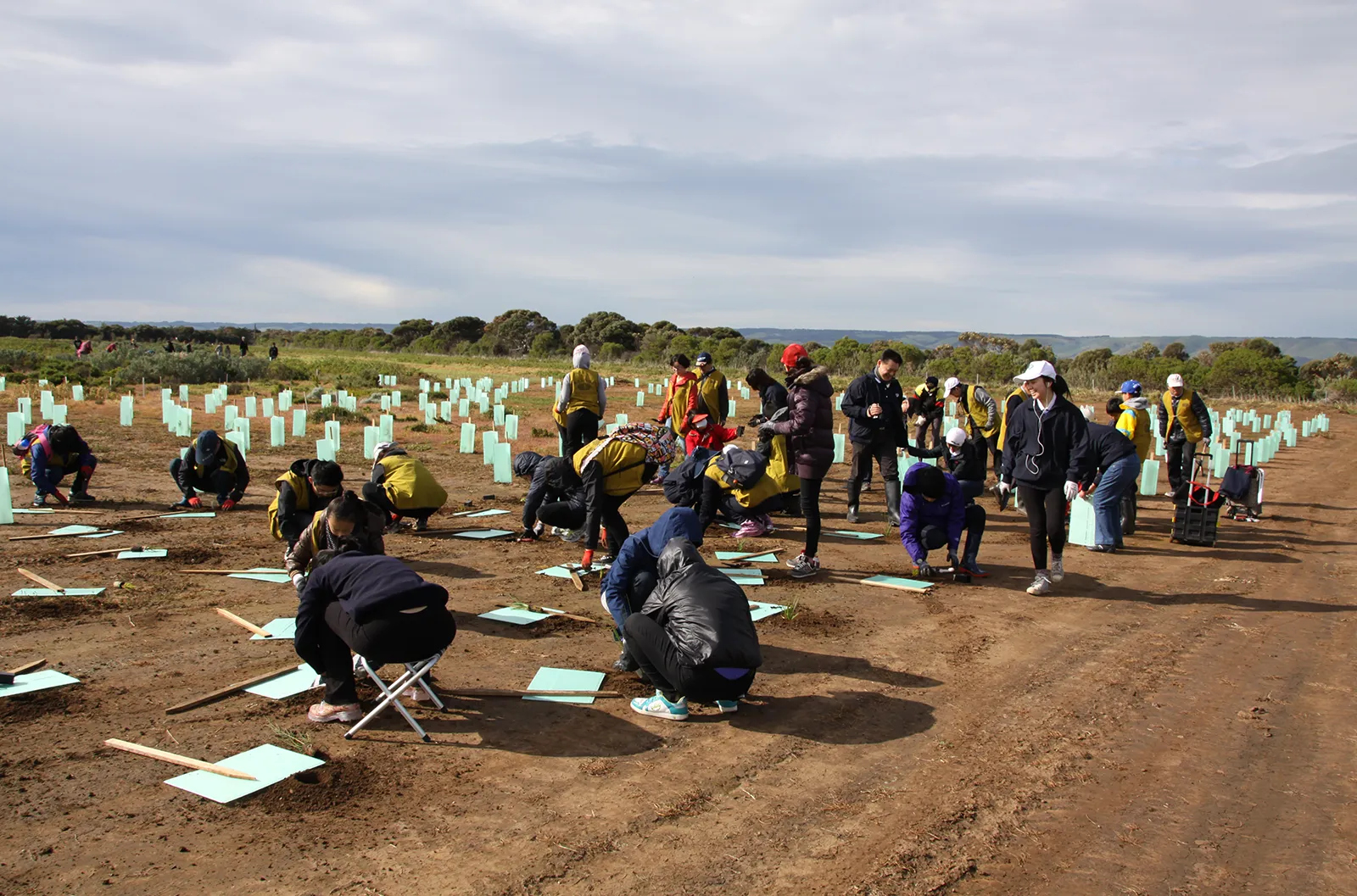 Adelaide - Tree Planting Day - Every contribution plays a role in creating a more sustainable future for our planet Tree Planting Day - Every contribution plays a role in creating a more sustainable future for our planet