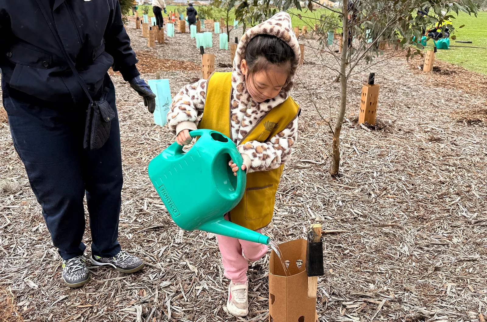 Adelaide - Tree Planting Day - Involving children in environmental initiatives enhances their understanding of its importance Tree Planting Day - Involving children in environmental initiatives enhances their understanding of its importance