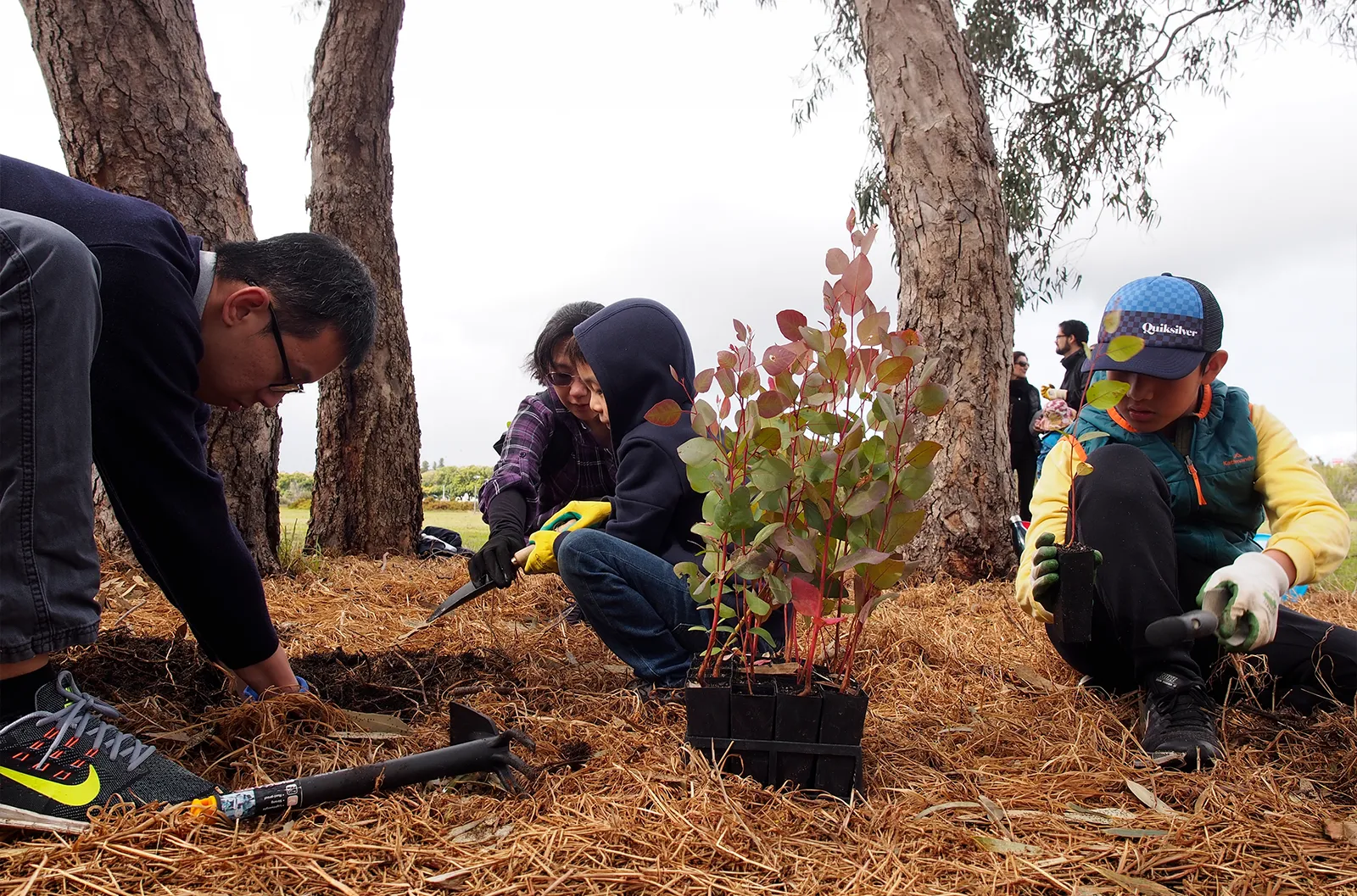 Perth - Environmental Protection - Australian Clean Up Day and Tree Planting Day Environmental Protection - Australian Clean Up Day and Tree Planting Day