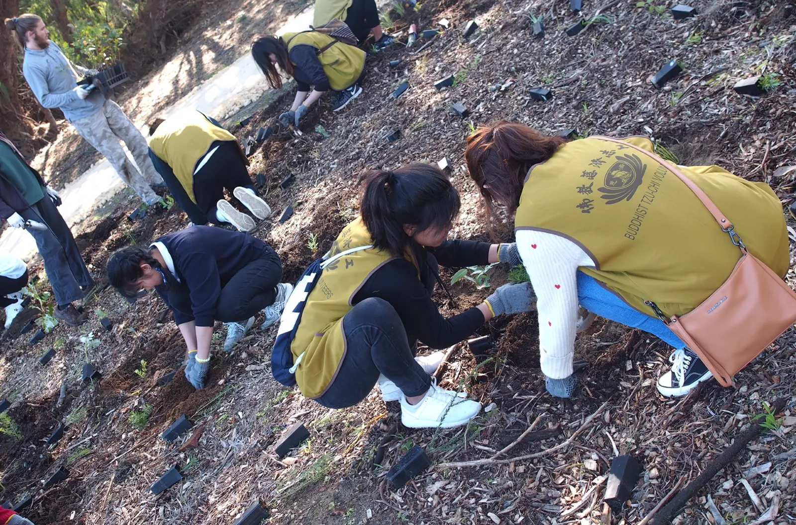 Perth - Environmental Protection - Volunteers planting saplings Environmental Protection - Volunteers planting saplings