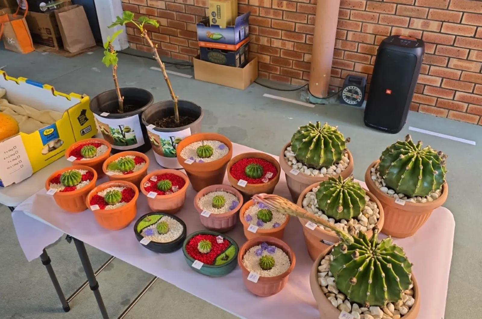 Perth - Second-Hand Charity Sale - Volunteer Yan Fu-chun, who enjoys growing flowers and fruit trees Second-Hand Charity Sale - Volunteer Yan Fu-chun, who enjoys growing flowers and fruit trees